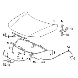 Acura OE - Hood & Components (Base / A-Spec)