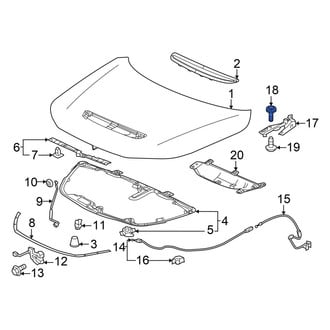 Acura OE - Door Check Bolt
