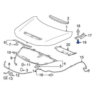 Acura OE - Outer Hood Hinge Bolt