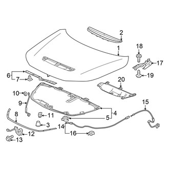 Acura OE - Hood & Components (Type S)