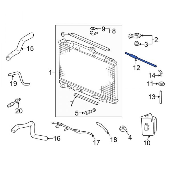 Engine Coolant Overflow Hose