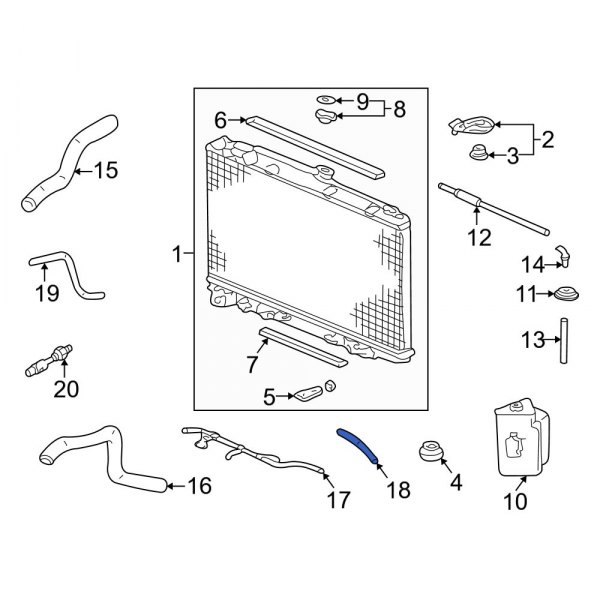 Automatic Transmission Oil Cooler Hose Assembly