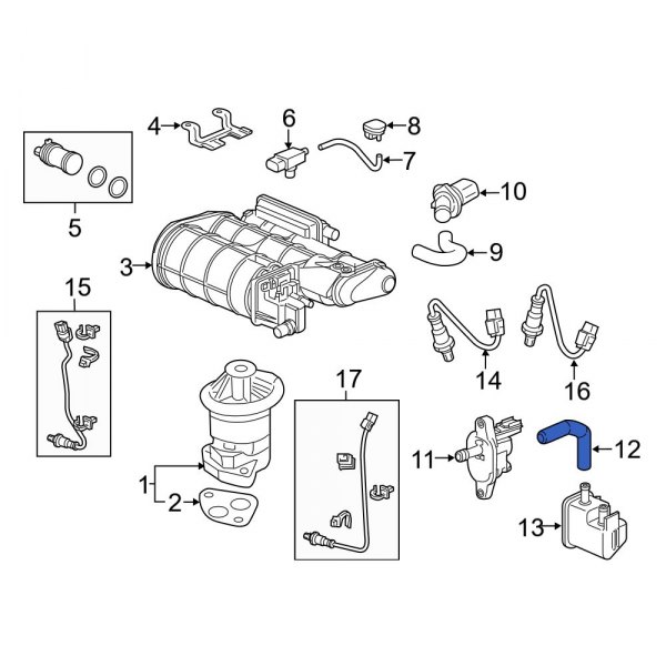 Evaporative Emissions System Lines