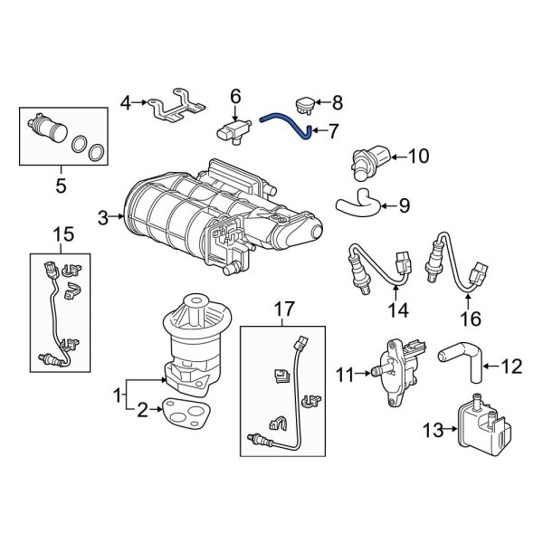 Evaporative Emissions System Lines