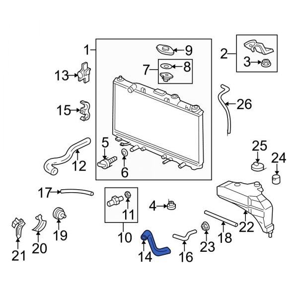 Radiator Coolant Hose