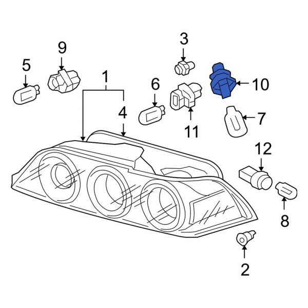 Tail Light Socket