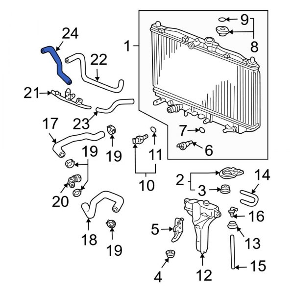 Automatic Transmission Oil Cooler Hose