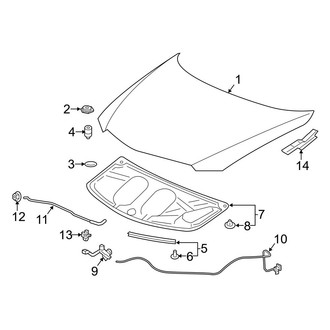 Acura OE - Hood & Components