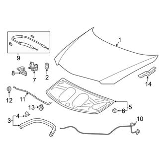 Acura OE - Hood & Components