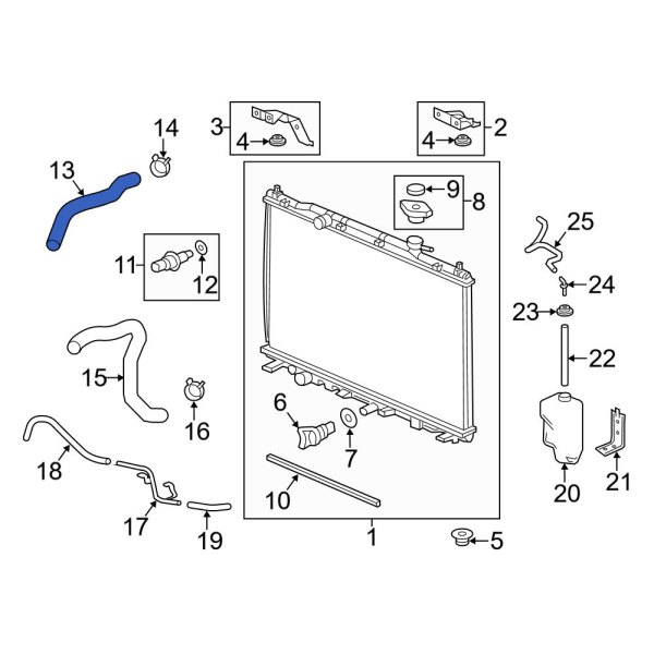 Radiator Coolant Hose