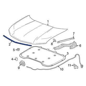 Acura OE - Hood Seal