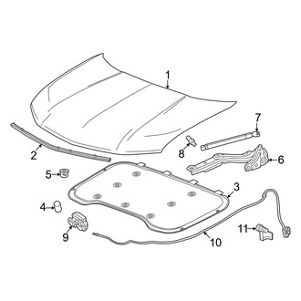 Acura OE - Hood & Components