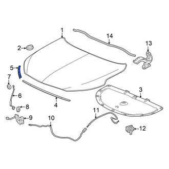 Acura OE - Front Forward Hood Seal