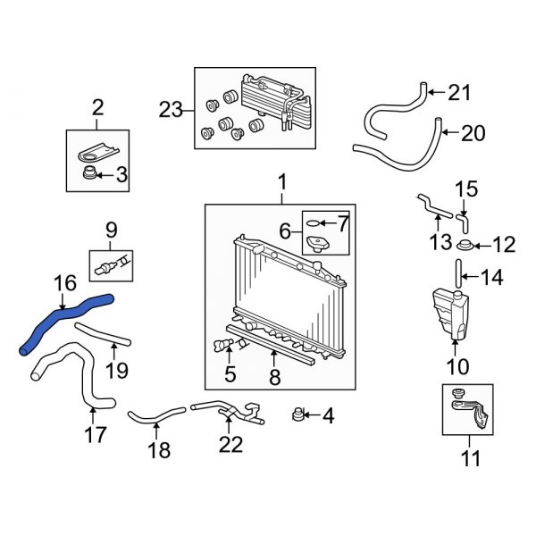 Radiator Coolant Hose