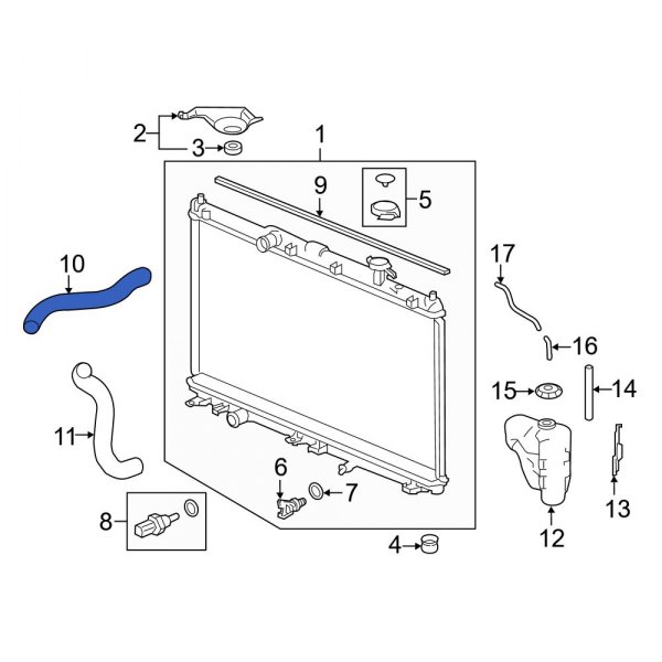 Radiator Coolant Hose