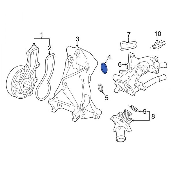 Engine Water Pump Housing O-Ring