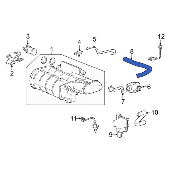 Evaporative Emissions System Lines