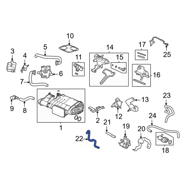 Evaporative Emissions System Lines