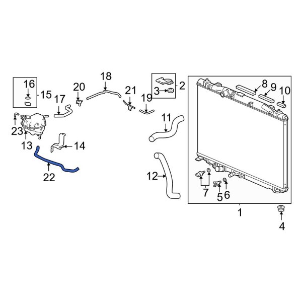 Engine Coolant Overflow Hose