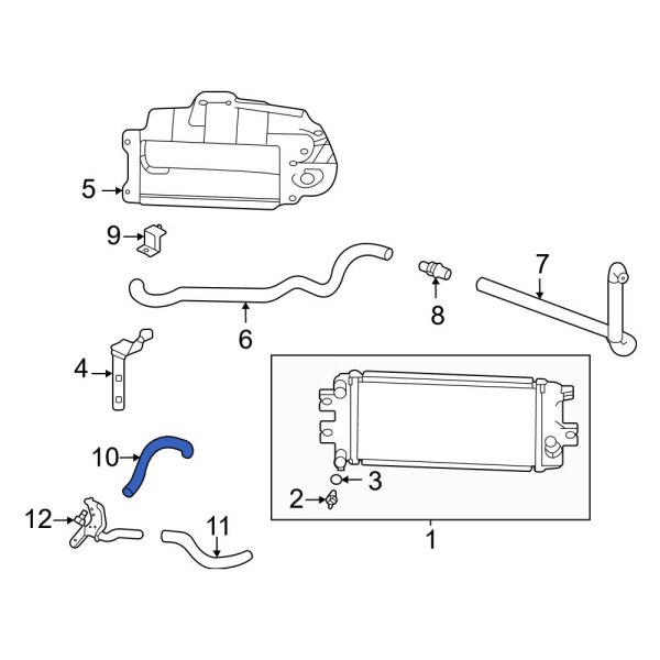 Radiator Coolant Hose