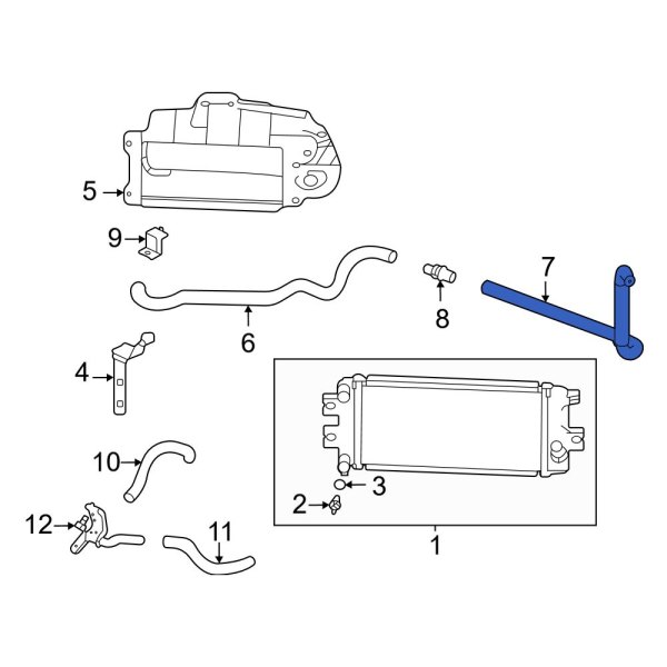 Radiator Coolant Hose