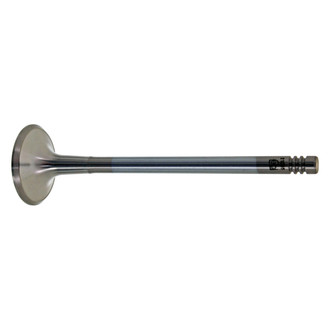 AE® - Exhaust Valve