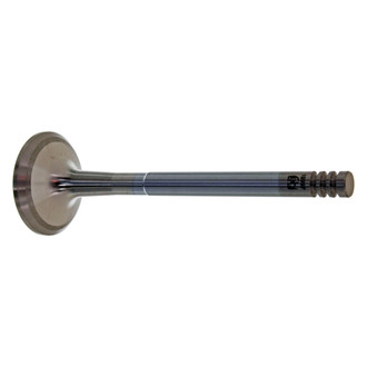 AE® - Exhaust Valve