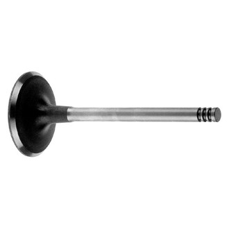 AE® - Exhaust Valve