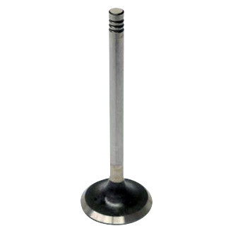 AE® - Intake Valve