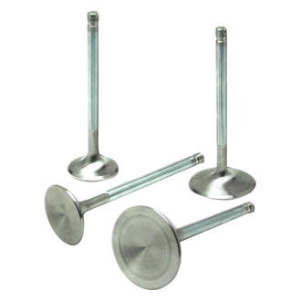 AFR® - Intake Valve