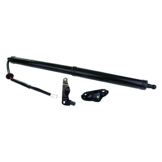 AISIN® - Passenger Side Liftgate Actuator