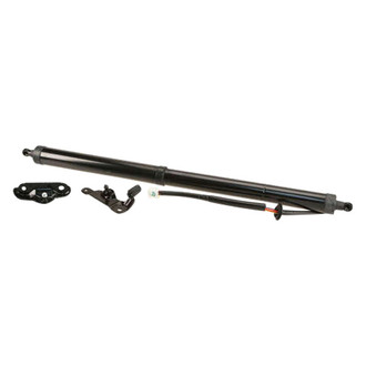 AISIN® - Passenger Side Tailgate Pull Down Motor