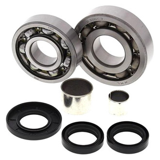 All Balls® - Differential Bearing Kit