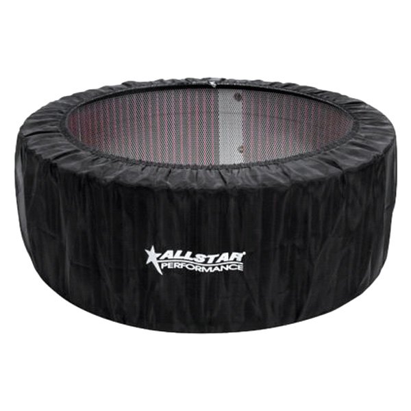 AllStar Performance® - Air Filter