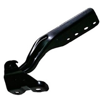 Alzare® - Passenger Side Hood Hinge (Standard Line)