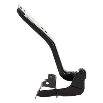 Alzare® - Driver Side Hood Hinge (Standard Line)