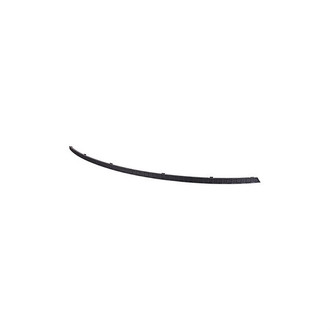 Alzare® - Rear Bumper Cover Molding