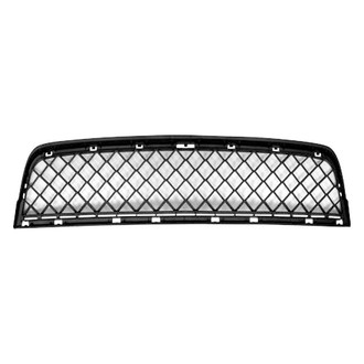 Alzare® - Front Lower Center Bumper Grille (Standard Line)