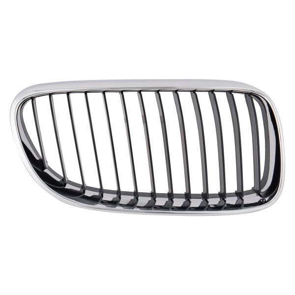 Alzare® - Passenger Side Grille