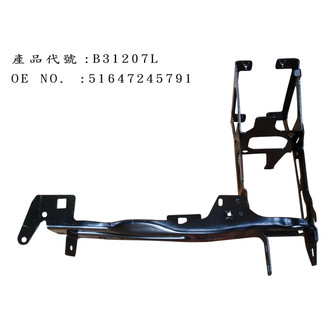 Alzare® - Radiator Support
