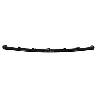 Alzare® - Front Bumper Molding (Standard Line)