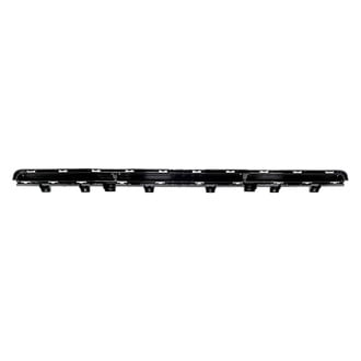 Alzare® - Front Bumper Molding (Standard Line)