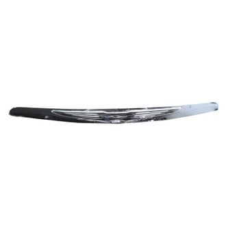 Alzare® - Hood Molding