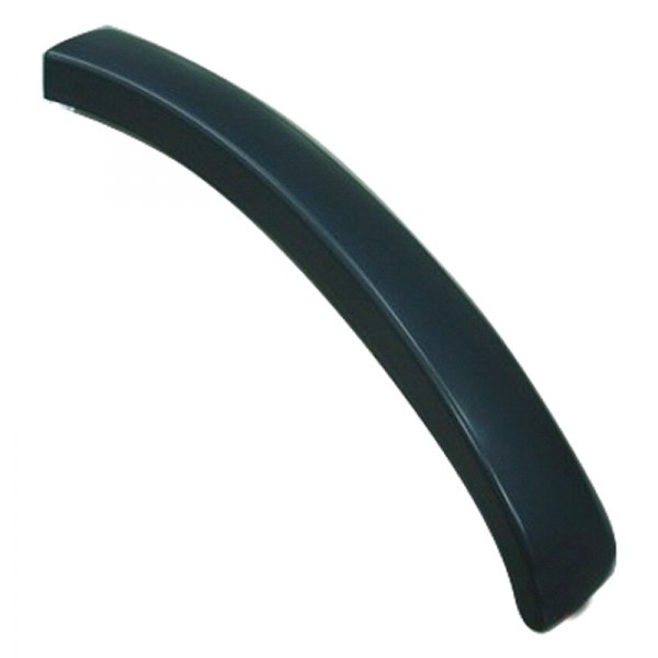 Alzare® - Front Passenger Side Lower Outer Bumper Cover Molding