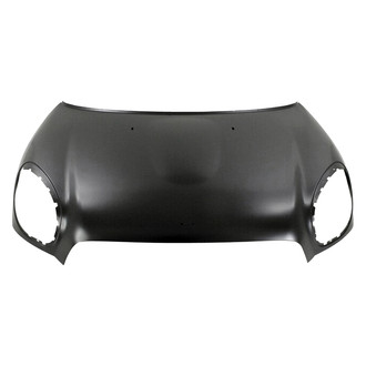 Alzare® - Hood Panel (Standard Line)