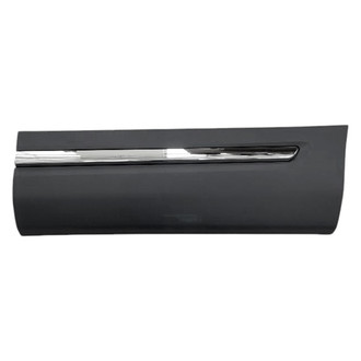 Alzare® - Rear Driver Side Door Molding (Standard Line)