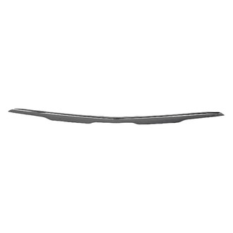 Alzare® - Front Bumper Cover Molding