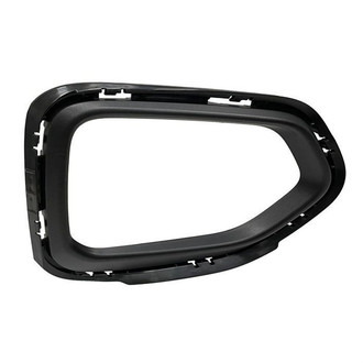 Alzare® - Passenger Side Headlight Molding (CAPA Certified)