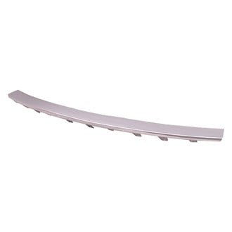 Alzare® - Rear Bumper Cover Molding