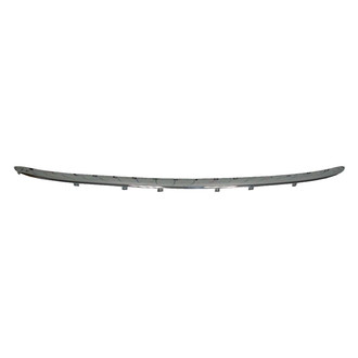 Alzare® - Rear Bumper Molding (Standard Line)